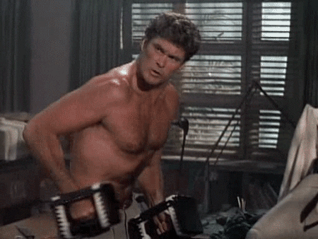 Image result for david hasselhoff gif