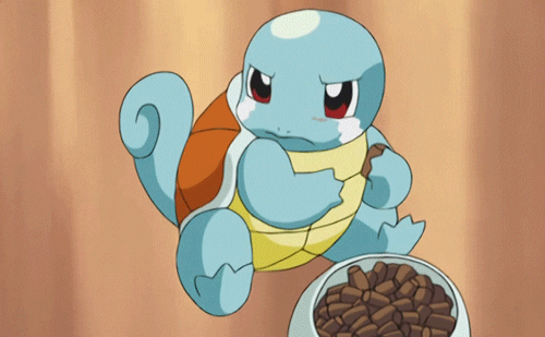 Squirtle GIFs - Find & Share on GIPHY