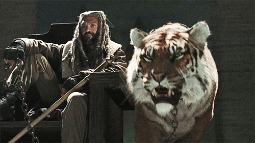 Ezekiel and his Tiger