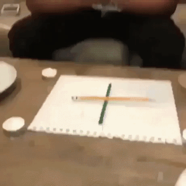 Most questionable gif ever in funny gifs