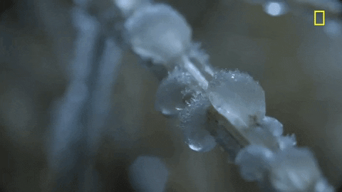 Frost Gifs Find Share On Giphy