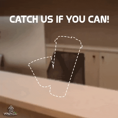 Coffee cups in gifgame gifs