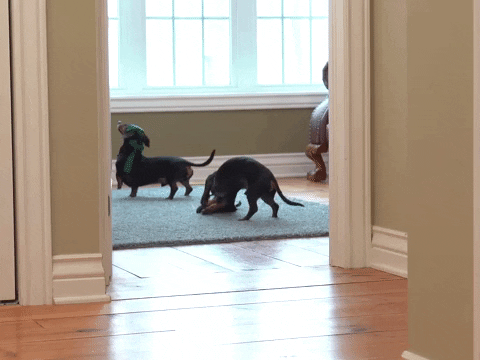 taking off blindfolds