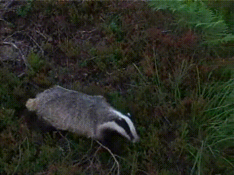 https://media.giphy.com/media/uVtuyQ0IevwbHWnZy0/giphy.gif