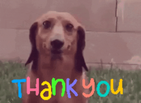 Funny dog saying thank you