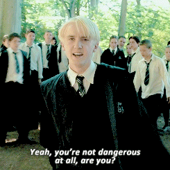 Draco Malfoy: 'Yeah, you're not dangerous at all, are you?' gif