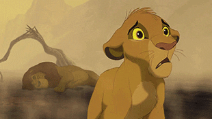 Stop worrying - The Lion King 2019