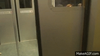 Male GIF - Find & Share on GIPHY