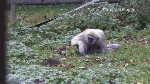 [Image: giphy.gif]