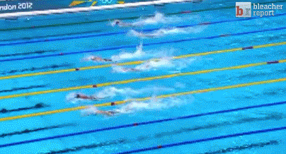 Image result for freestyle swimming gif olympics