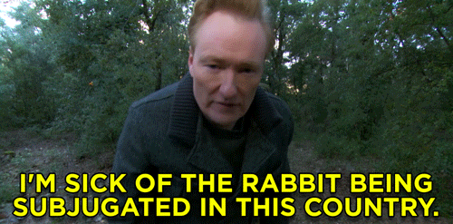 Rabbit Conan Obrien GIF by Team Coco - Find & Share on GIPHY