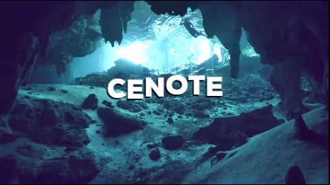 Fotografía Subacuática en Cenotes