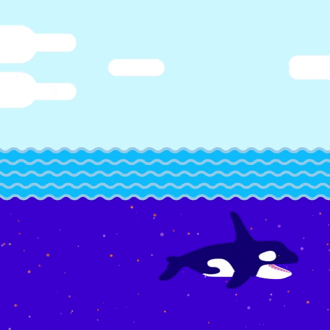 University Of Washington Uw GIF