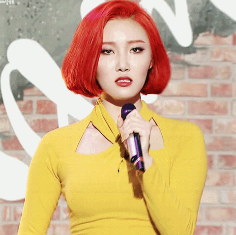 mamamoo gif find amp share on giphy mamamoo gif find amp share on giphy