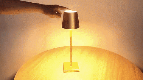 Cordless Table Lamp – Iluminating
