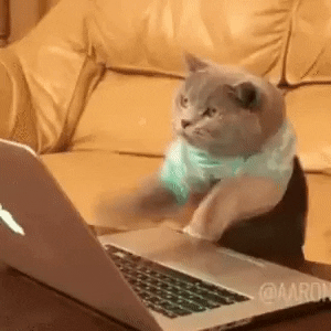 Cat quickly typing on laptop keyboard