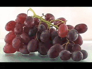 Grapes Raisins GIF - Find & Share on GIPHY