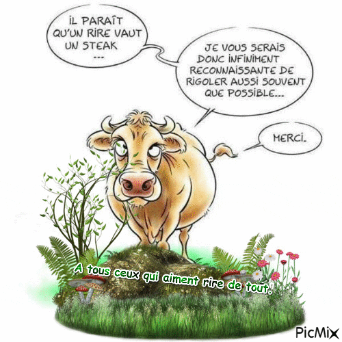 Steak GIF Find & Share on GIPHY