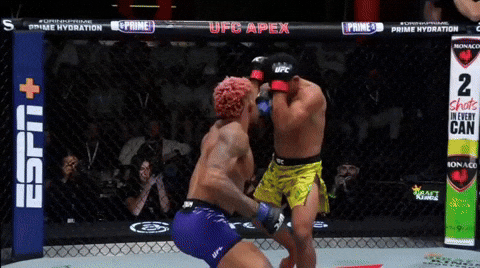giphy.gif