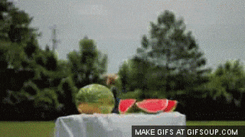 Watermelon Gif Find Share On Giphy