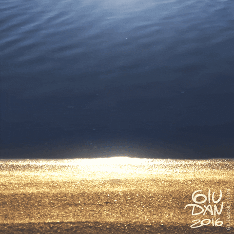  Beach Sun GIF - Find & Share on GIPHY