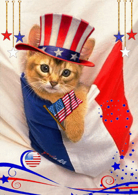 Fourth of July KItty!