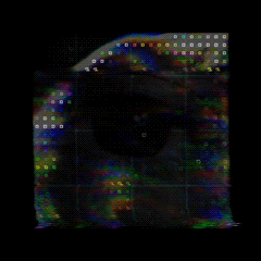 giphy.gif