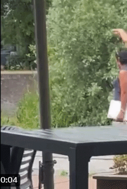 giphy.gif