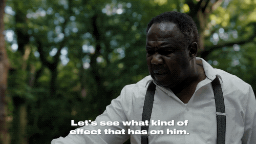 giphy.gif