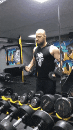 giphy-downsized-large.gif