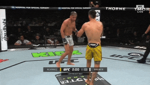 giphy-downsized-large.gif