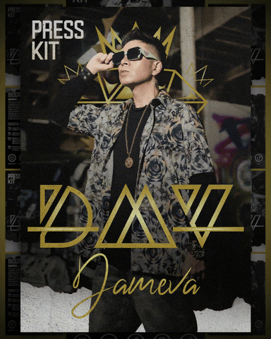 Press Kit - Dameva