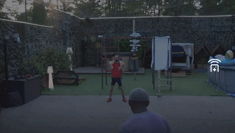 giphy.gif