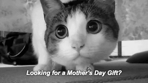 Looking for a Mother's Day Gift?