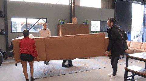 giphy.gif