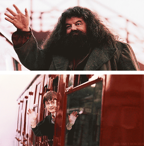 au revoir l'ancien programme disent Harry Potter et Hagrid 