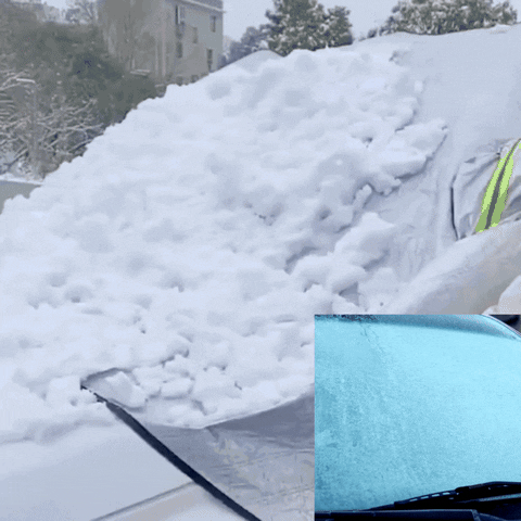Anti-Frost Profi Decke für die Windschutzscheibe – YourStrip