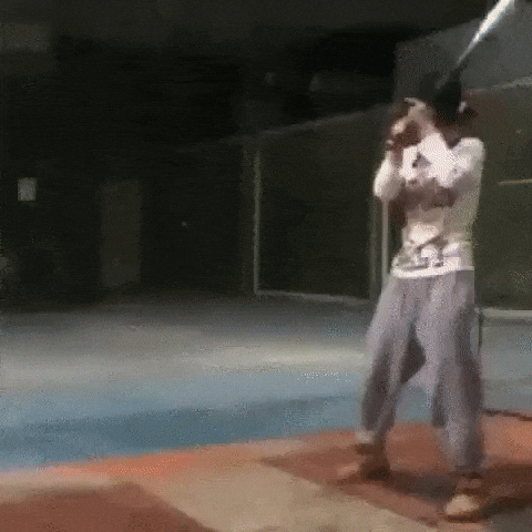 giphy.gif