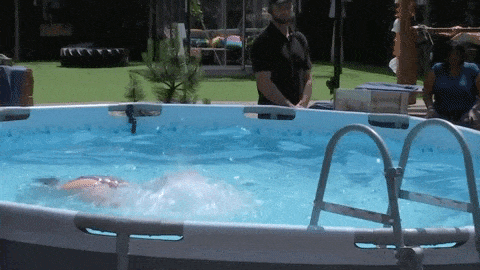 giphy-downsized-large.gif