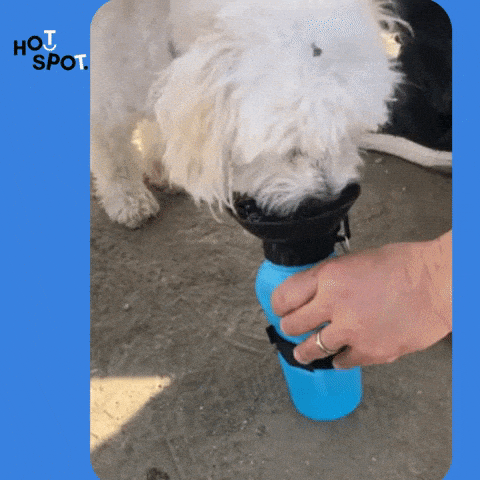 Bebedero Portátil de Paseo para Mascotas 500 ml - CuiVet - Cuida a