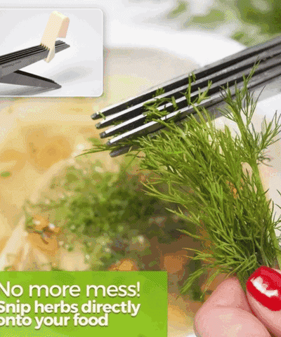 1651 MULTIFUNCTION VEGETABLE STAINLESS STEEL HERBS SCISSOR WITH 5 BLADES 1651 MULTIFUNCTION VEGETABLE STAINLESS STEEL HERBS SCISSOR WITH 5 BLADES