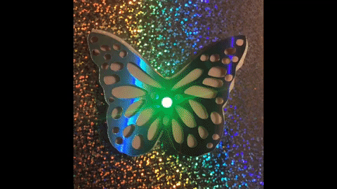 Color changing butterfly featuring a rainbow fade LED