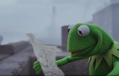 Kermit the frog looking at a map trying to figure out where to go