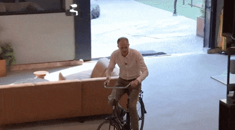giphy-downsized-large.gif