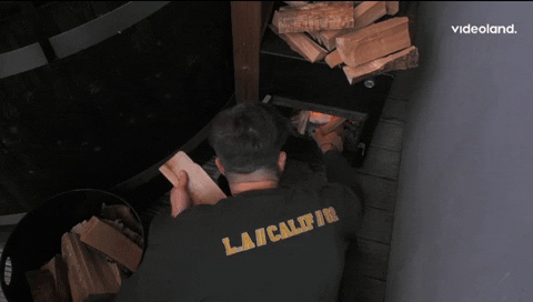 giphy.gif