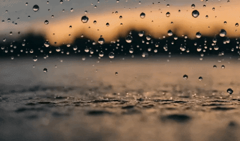 rain, rain drops, water, water drops