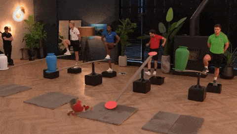 giphy-downsized-large.gif