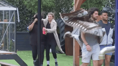 giphy-downsized-large.gif