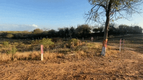 giphy-downsized-large.gif
