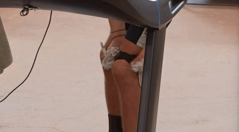 giphy-downsized-large.gif